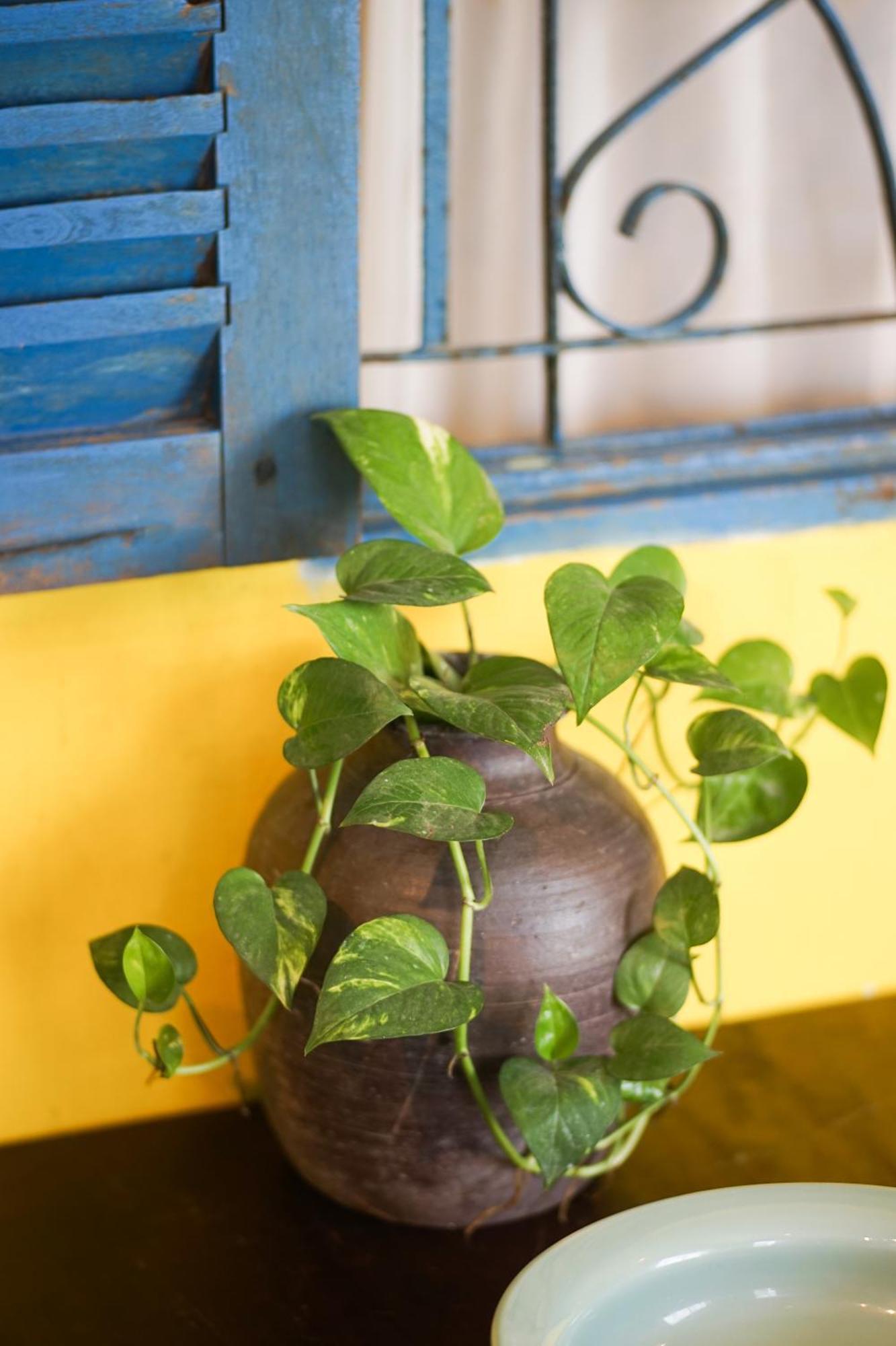 छात्रावास City Hostel Da Nang